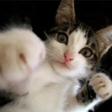 Profile image of 뀨뀨