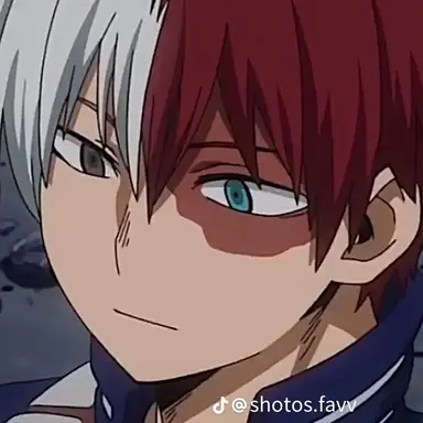 Profile image of Shoto todoroki