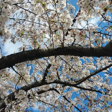 Profile image of 마을 사람들