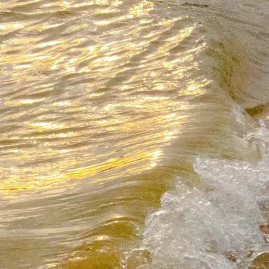 Profile image of 각별