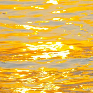 Profile image of 덕개