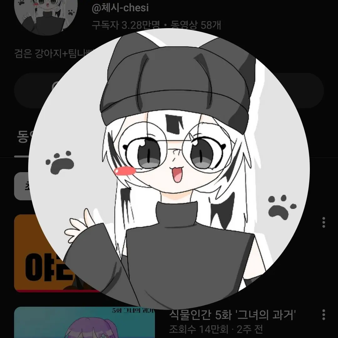 FitMouse9252의 체시와 팀나빠의 만남?!