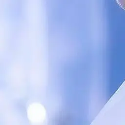 Profile image of 강영현