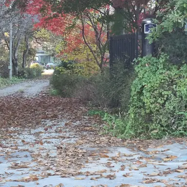 Profile image of 정공룡