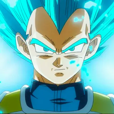 Profile image of 베지터