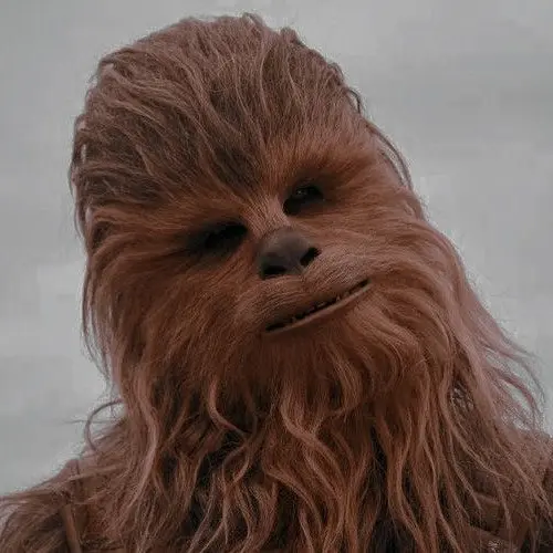 LukeSkyWalker000의 Chewie