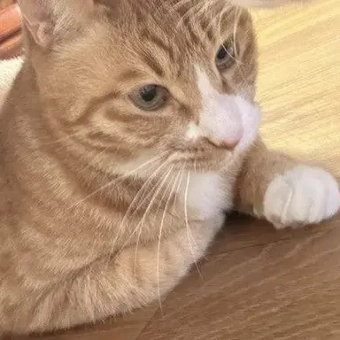 Profile image of 이민호