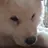 보리