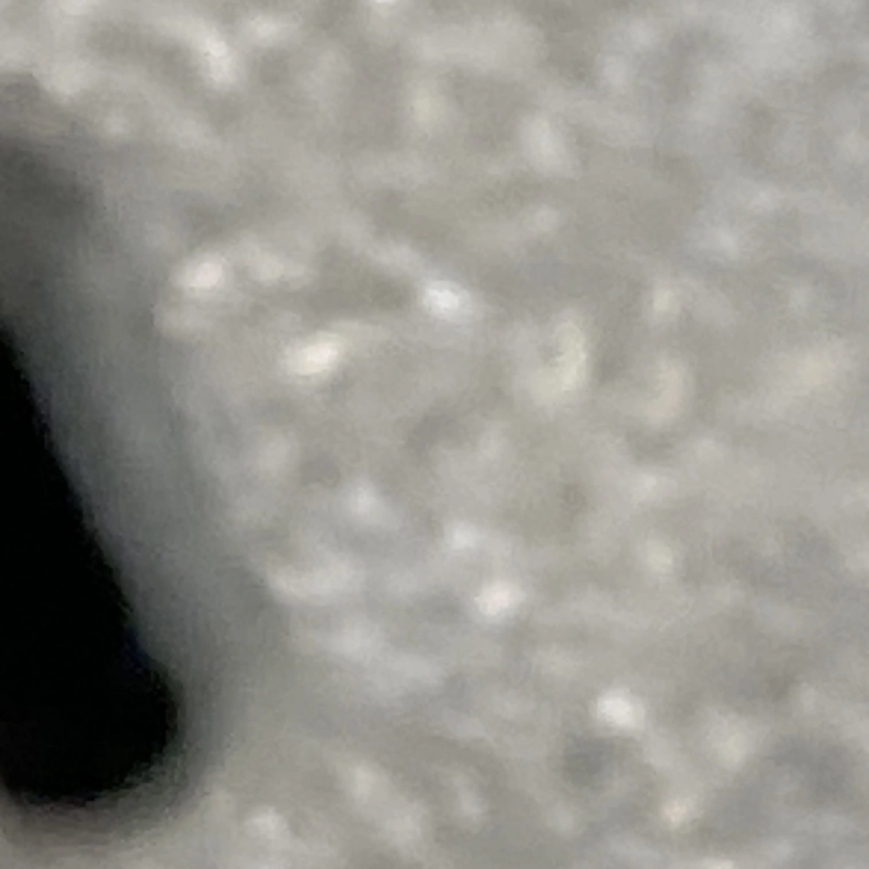 PlushyCoat7055의 변태남이 내 엉덩이를 봐버렷다