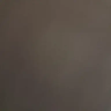 Profile image of 데카