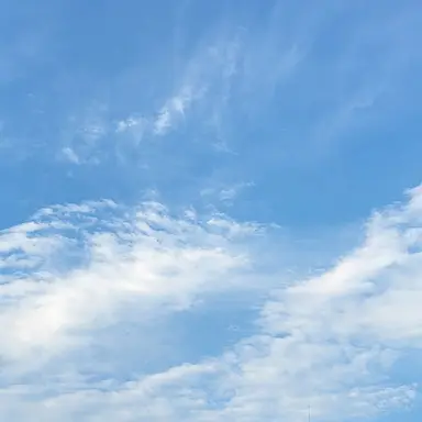 Profile image of 한유진