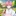 ブタ