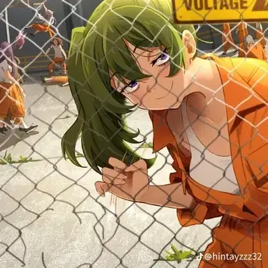 Profile image of Female prison