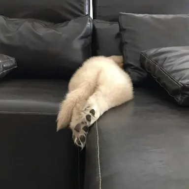 Profile image of ミンギュ