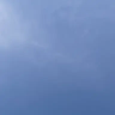 Profile image of 서라더