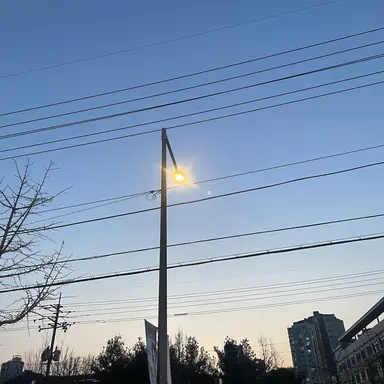 Profile image of 박잠뜰