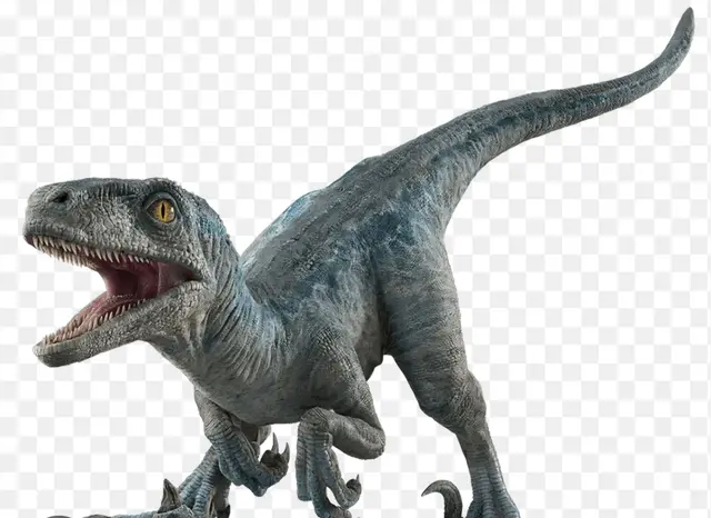 Profile image of 장부장