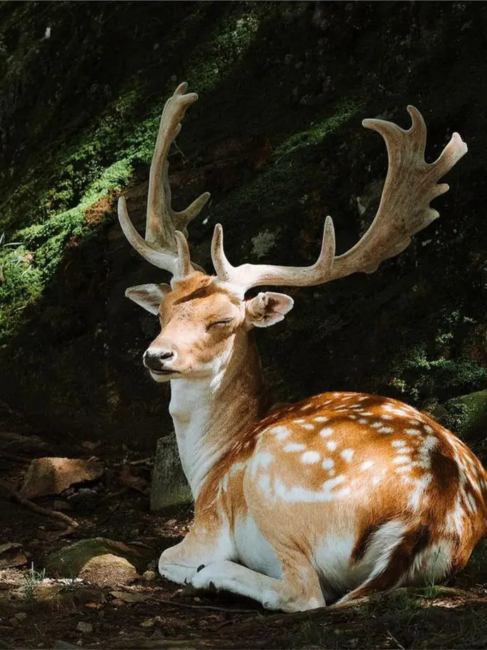 FastShoes3505의 The playground