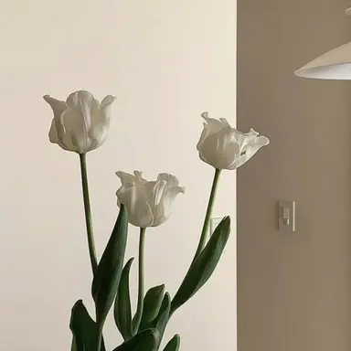 Profile image of 늑대