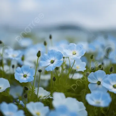 Profile image of 잠뜰