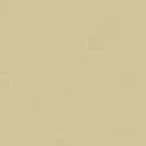 Profile image of 정상현