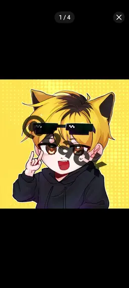 Profile image of Rio