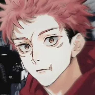 Profile image of 虎杖悠仁