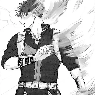 Profile image of Shoto Todoroki