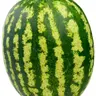 Profile image of 데이비드