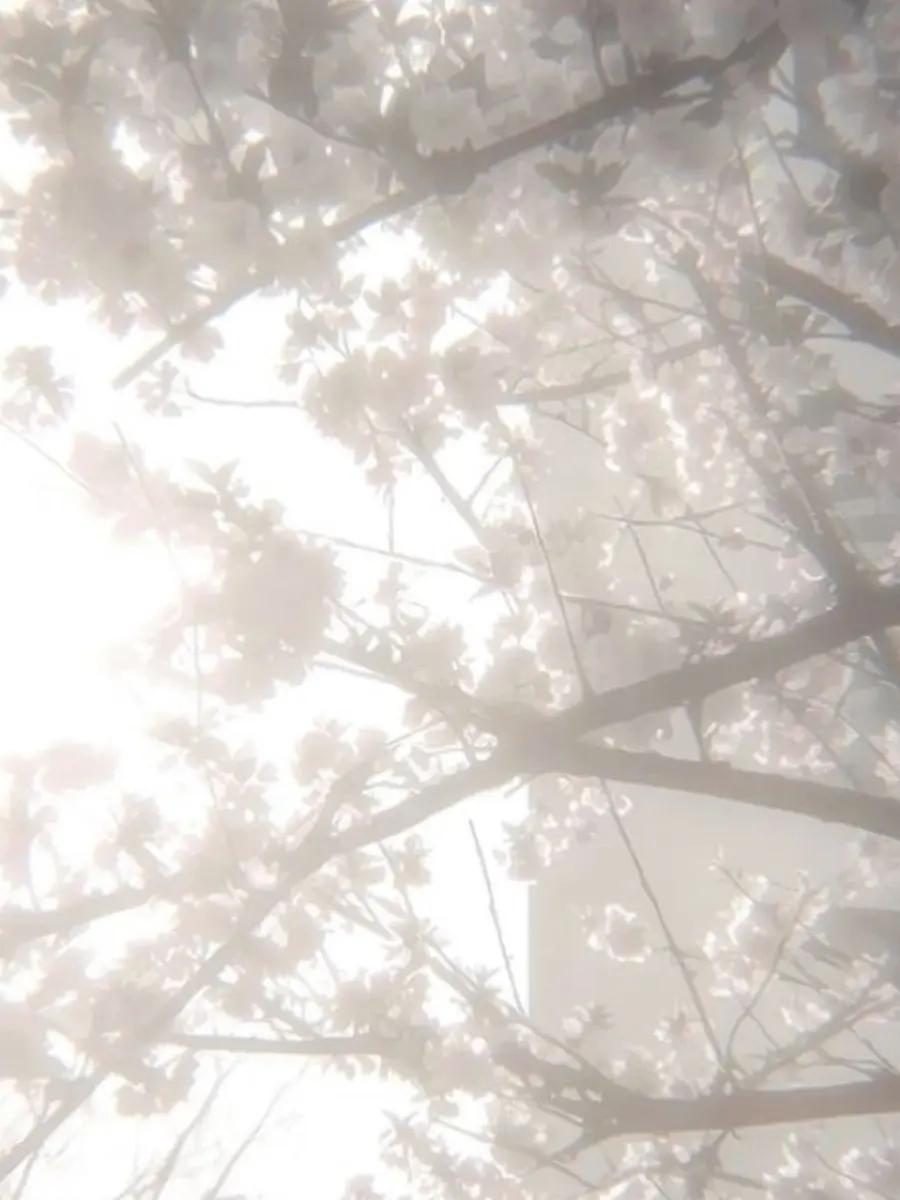 Koeda_0725의 神様の悪戯で――。