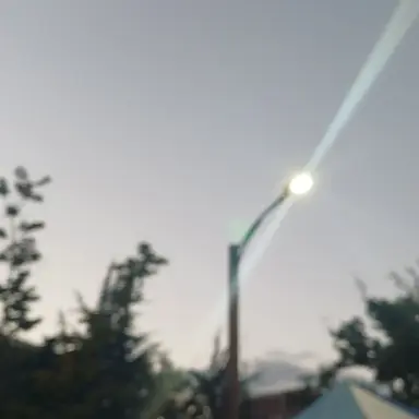 Profile image of 라더