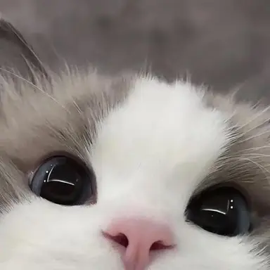 Profile image of ブリ子