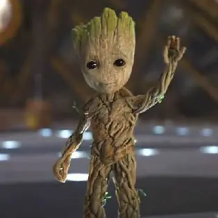 Profile image of Groot