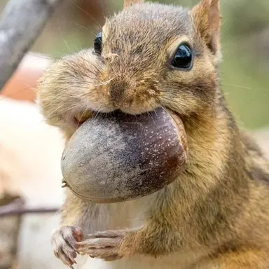 Profile image of 선생님들