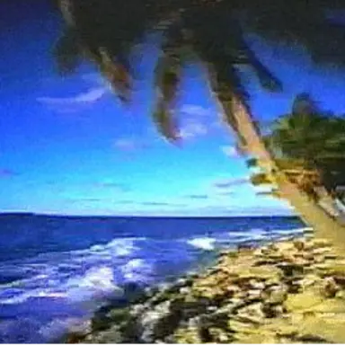 Profile image of 래리