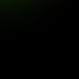 SpicyVole0439의 이동혁