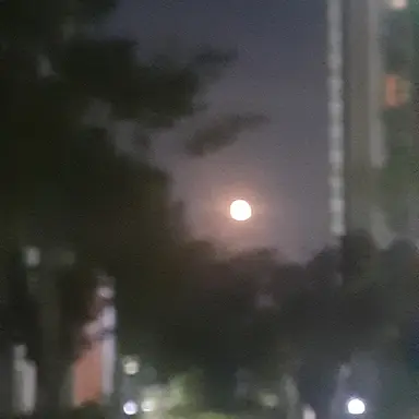 Profile image of 한서준