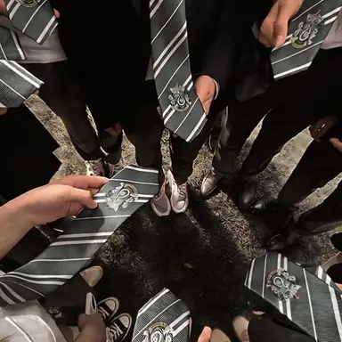 Profile image of Slytherin gang