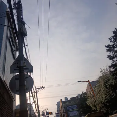 Profile image of 멜로우