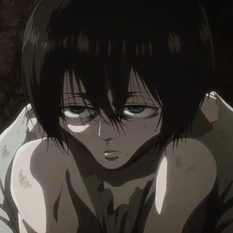 CurvedMall0429의 리바이 아커만