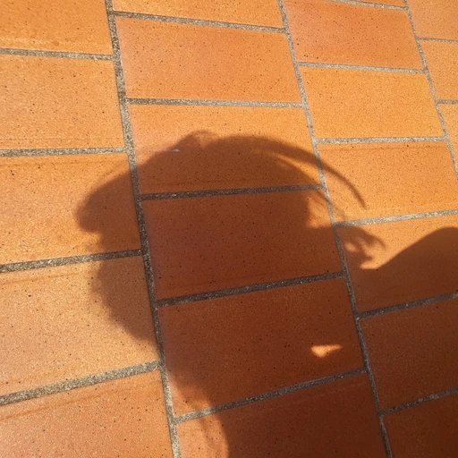 이로나