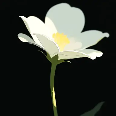 Profile image of 星導