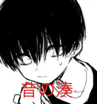 Profile image of 湊