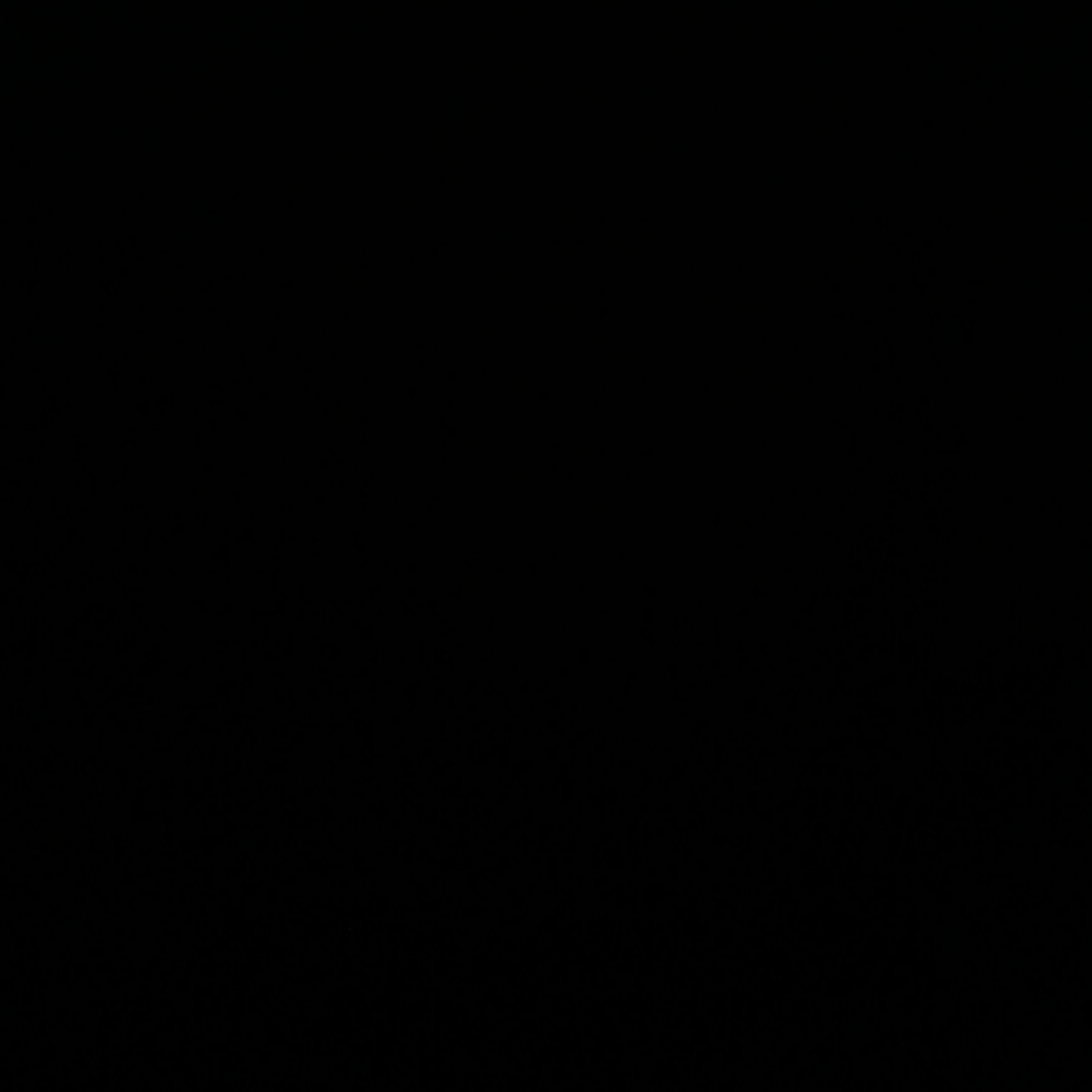 한지성