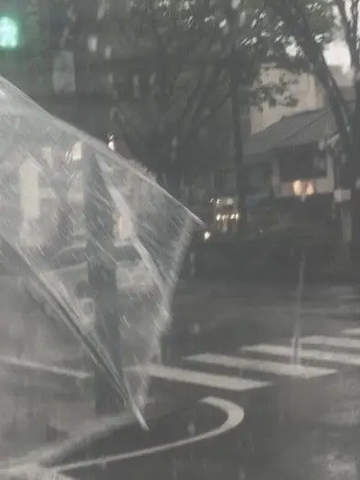 XoX....의 また悪い夢を見た