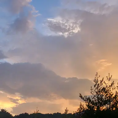 Profile image of 타노스