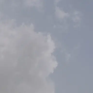 Profile image of 이명기