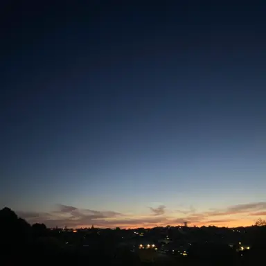 Profile image of 어린 시절의 당신