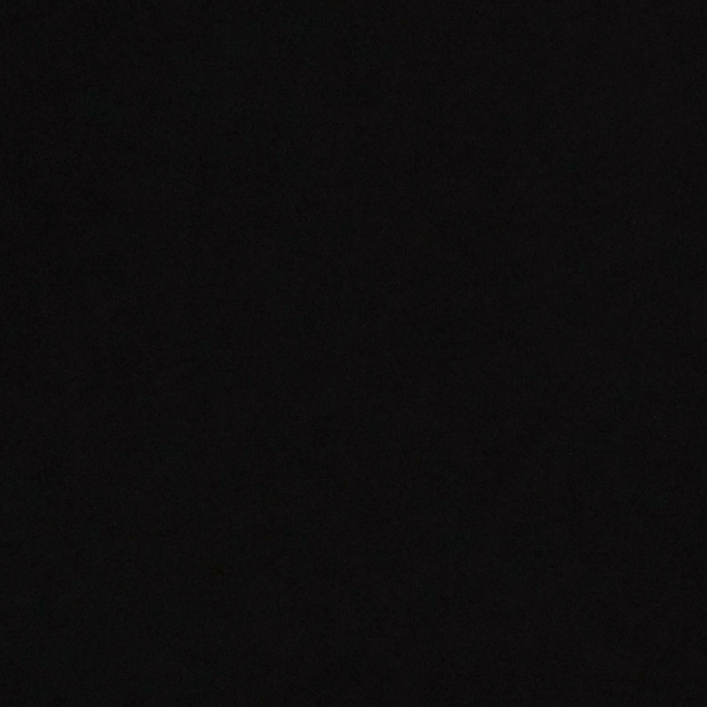 전정국