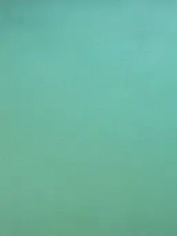 ExoticMonth5302의 お父さん